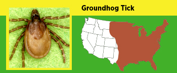 Image of a ground hog tick and a map of the US depicting were it can be found.