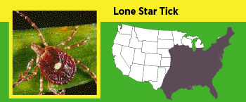 Image of a Lone Star Tick and where it can be found in the US.
